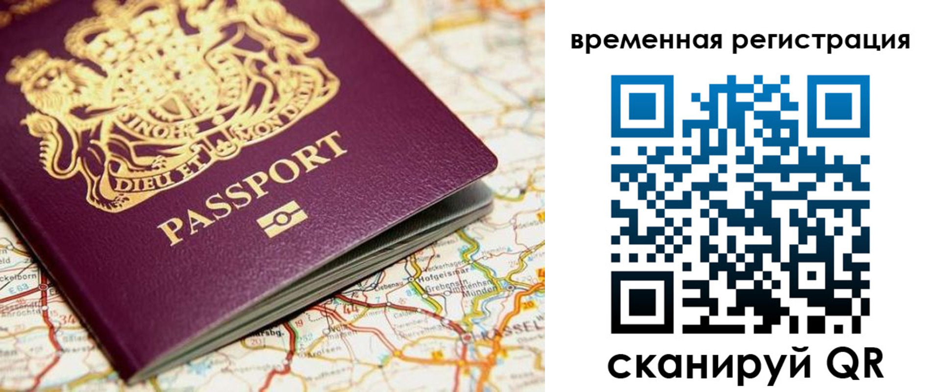 прописка в Светлогорске