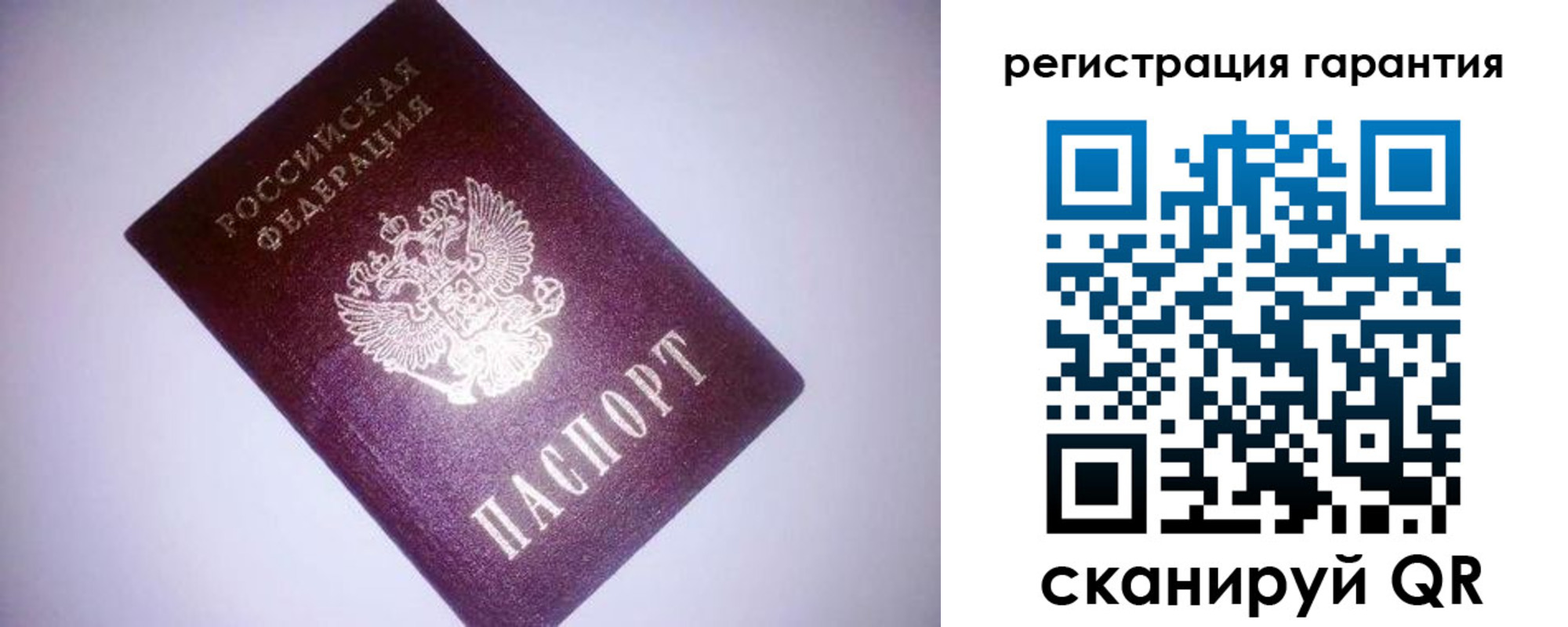 прописка в Светлогорске