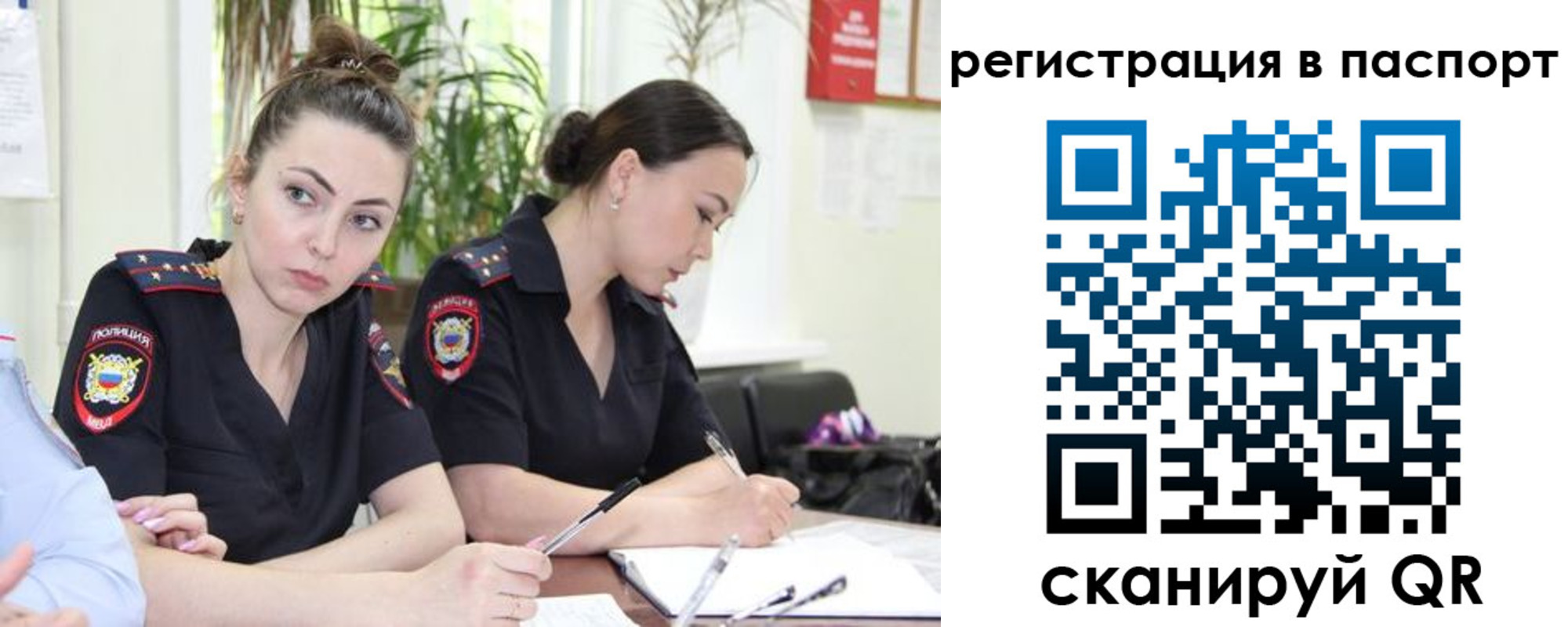 где прописаться в Светлогорске